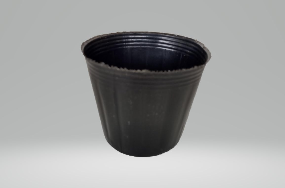 Amazon.co.jp: ポリポット 15cm 黒 100個 ポリ鉢 農業 栽培 育苗